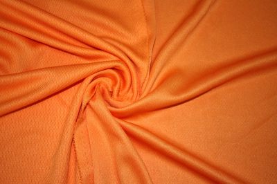 All polyester Bird's eye cloth 